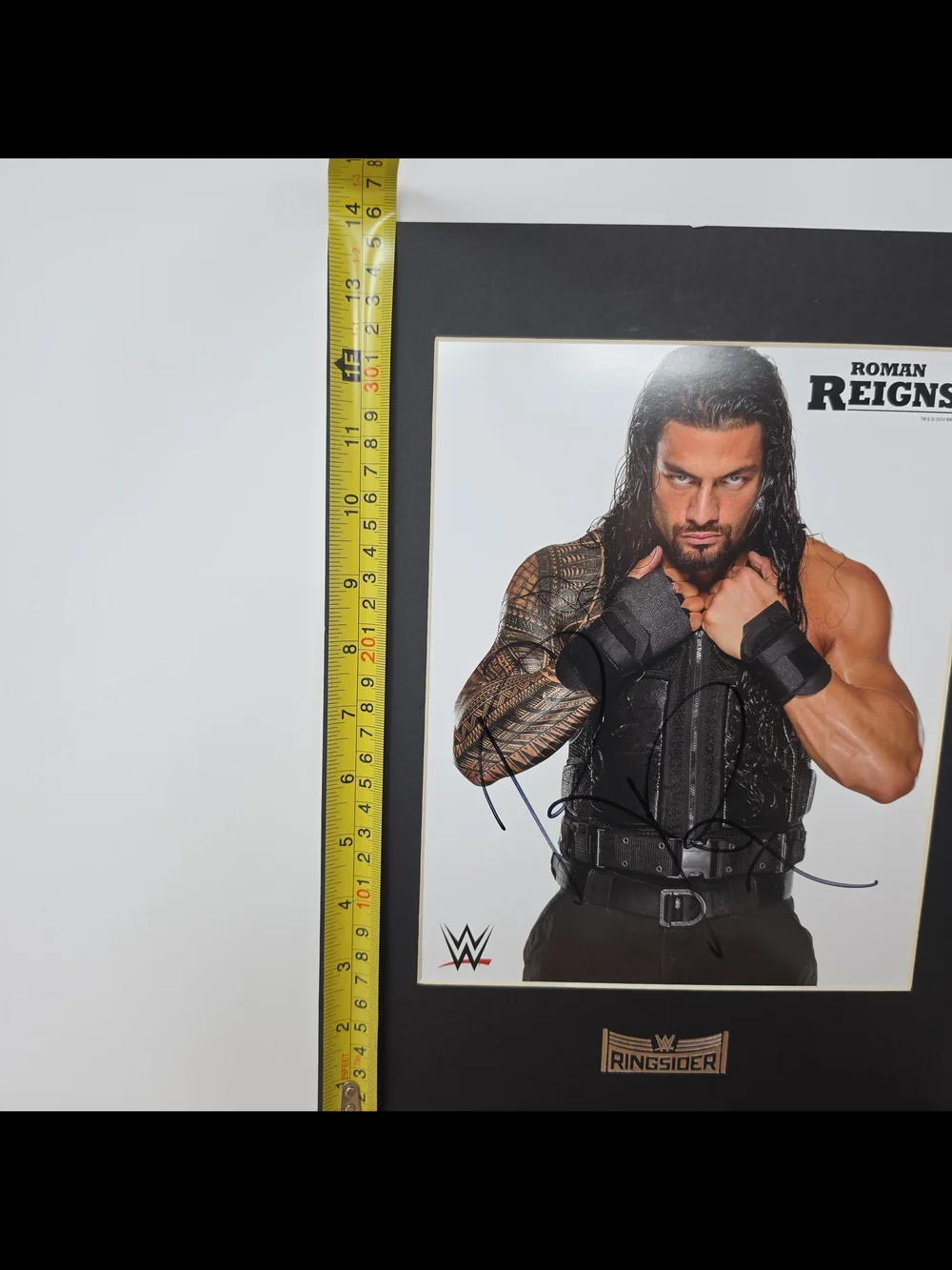 Roman Reigns WWE Autographed 11